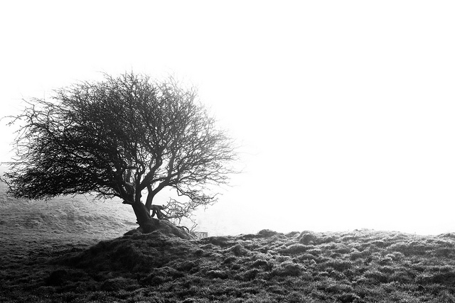 http://farm6.staticflickr.com/5260/5417868015_133f1def83_z.jpg