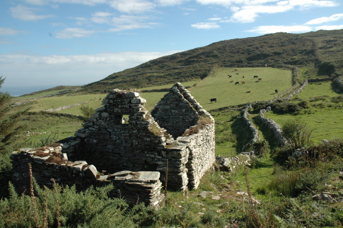 http://www.capeclearmuseum.ie/images/Cabhlach.jpg