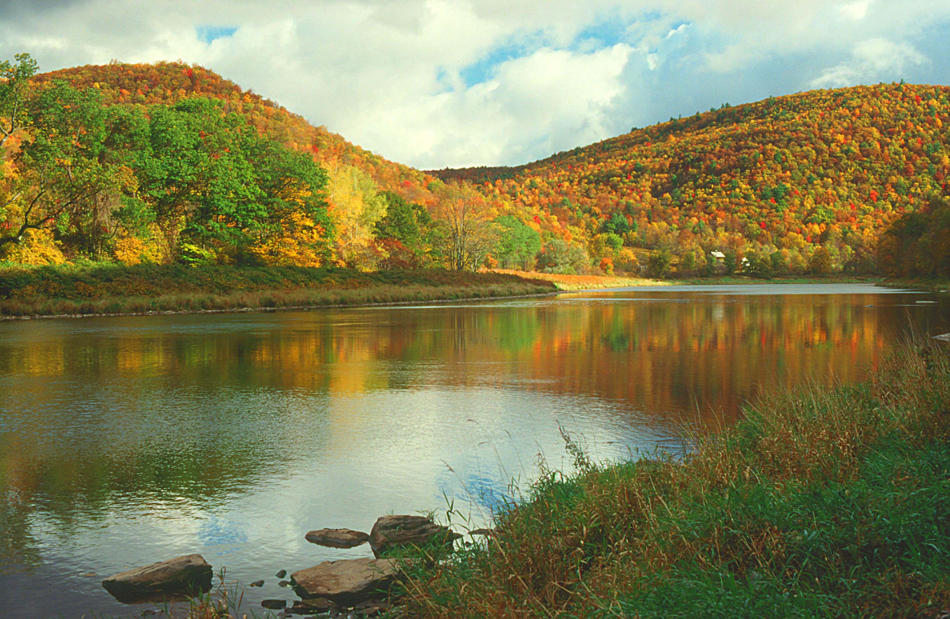 http://www.nj.gov/drbc/library/images/photo%20gallery/fall/delriver-at-kilgour-spur_oct2005davesoete.jpg